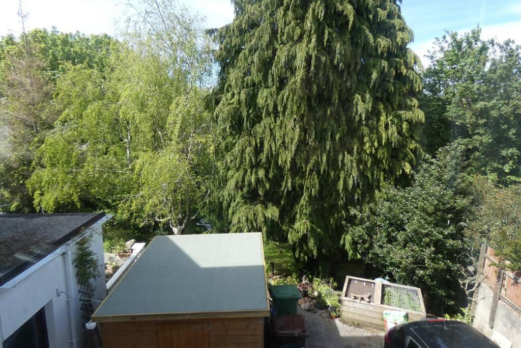 Apartamento Ferney Croft Saint Erth Exterior foto